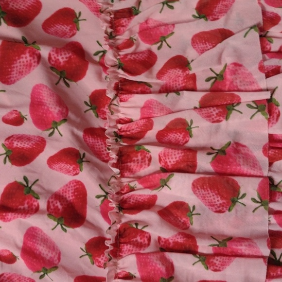 Anthropologie Eva Franco size medium NWT strawberry chiffon skirt - Picture 5 of 6